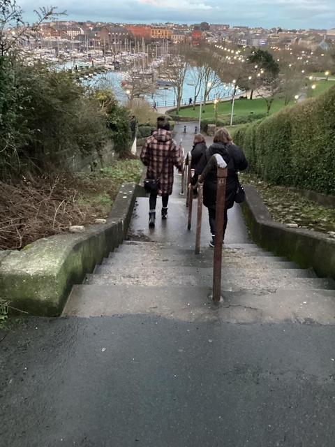       People descending a concrete staircase surrounded by foliage.
  
