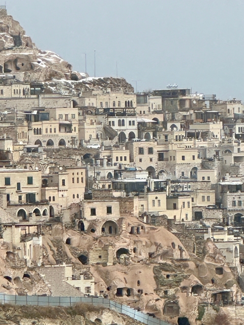       Dense historical architecture of a city.
  