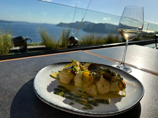 Plate of food and glass of wine with sea view.