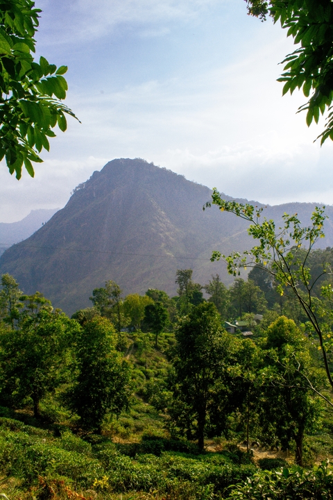 Mountainous landscape with dense green vegetation.