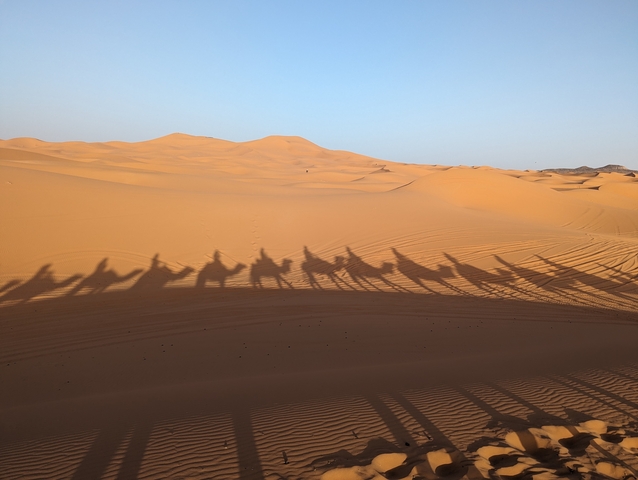 Camel caravan shadows on the sand dunes.