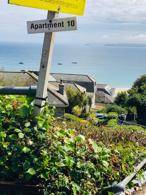 Town view with rooftops and ocean in the background.