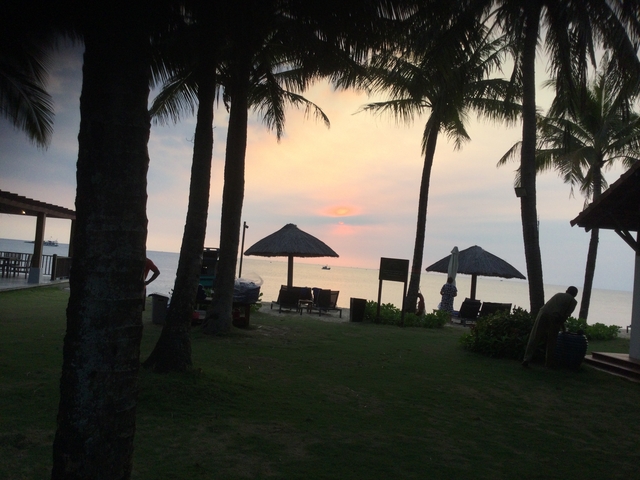       Scenic sunset view over a beach with people and palm trees.
  