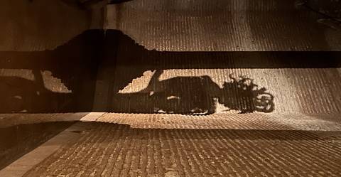       A shadow projection on a brick wall creating an abstract image.
  