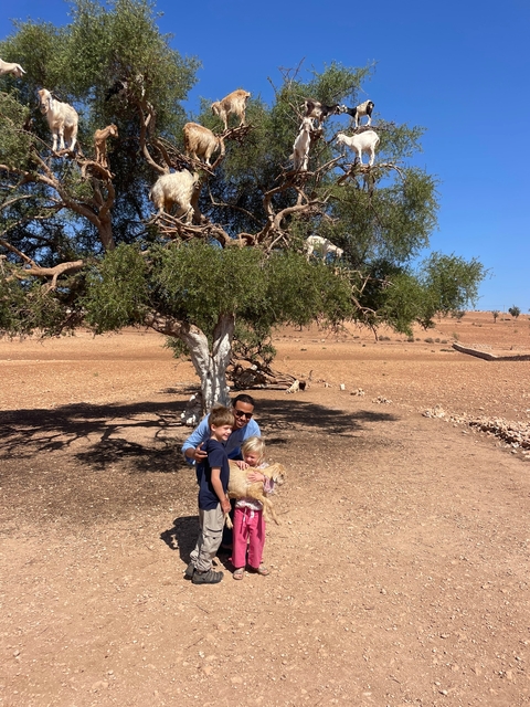 A person with two children under a tree in a dry landscape and a goat grazing on a branch