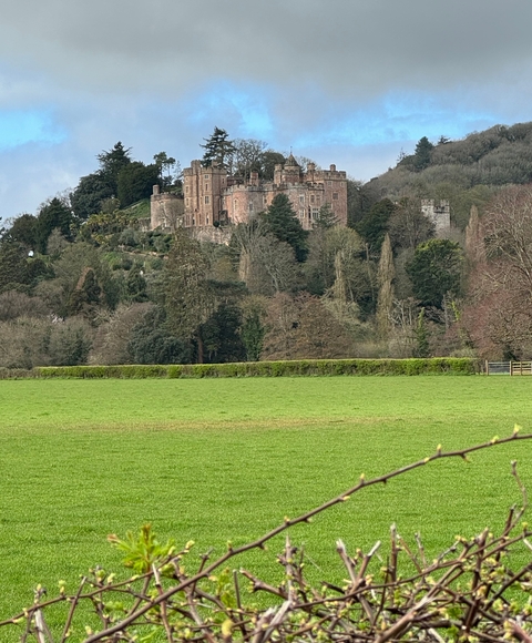 Castle in a lush green area with trees and hills in the background
