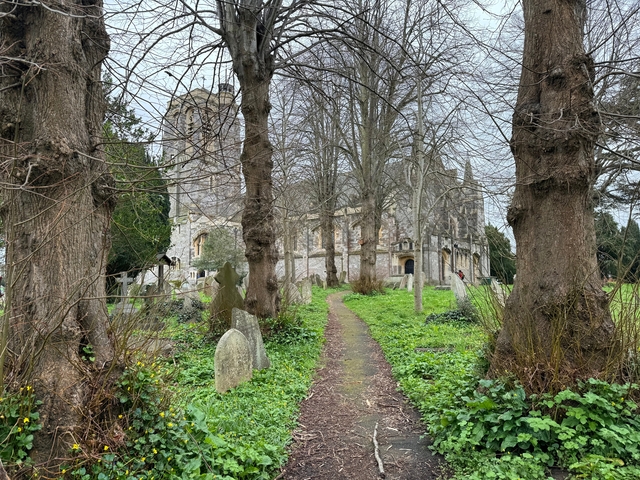       Path through trees approaching a historic church with gravestones
  