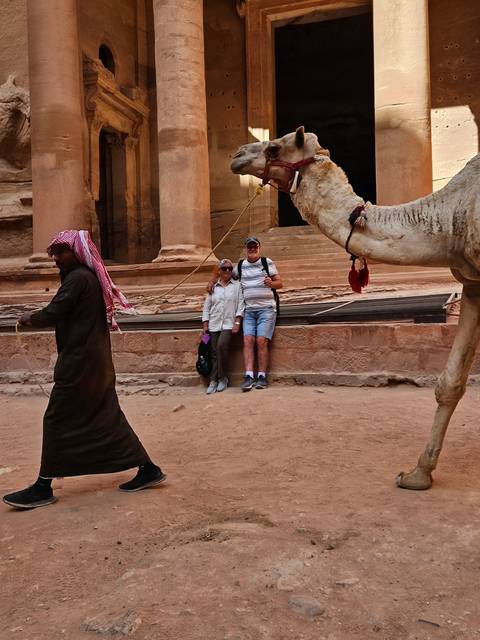       Camels and people at the entrance of the Petra Treasury.
  