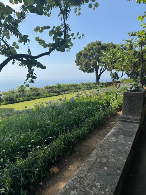 Lush garden with a scenic view of trees and sea.