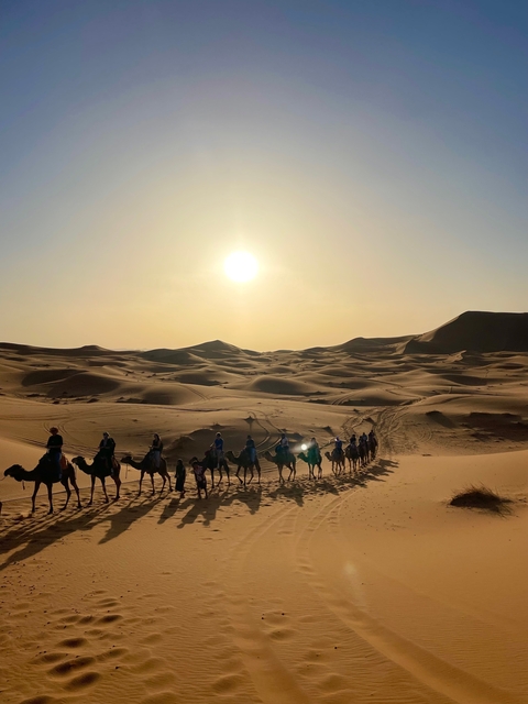       A long line of people riding camels in the desert during sunset.
  