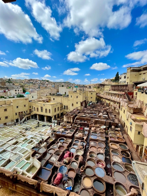      Overview of the ancient city of Fes with traditional leather tanneries.
  