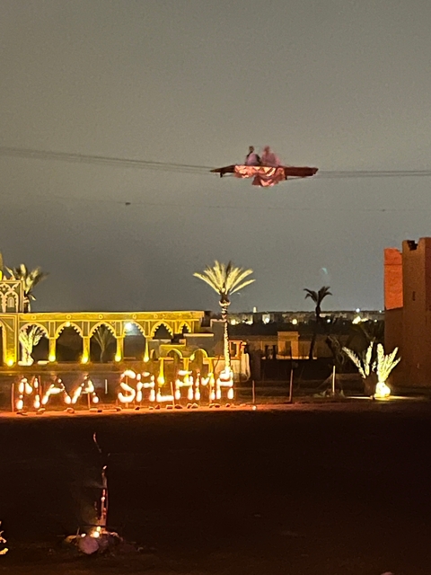       Night scene with palm trees and decorative lighting.
  