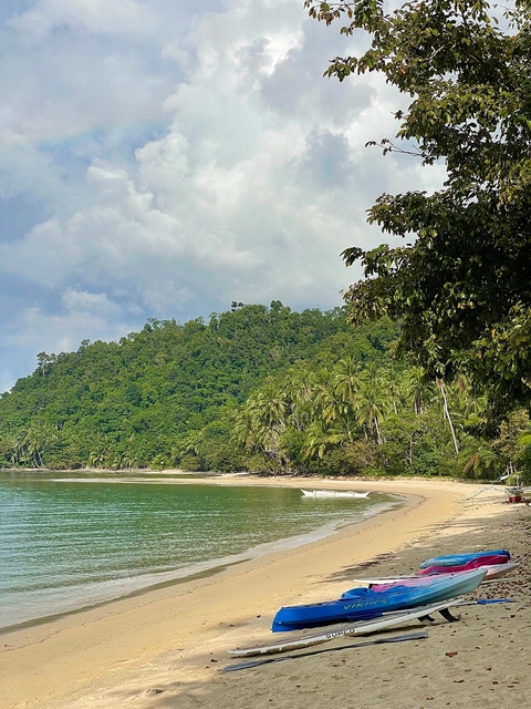       Quiet beach with dense green jungle and small boats.
  