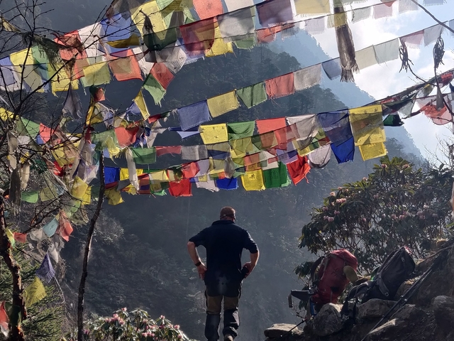       Person standing among colorful prayer flags in a mountainous area.
  