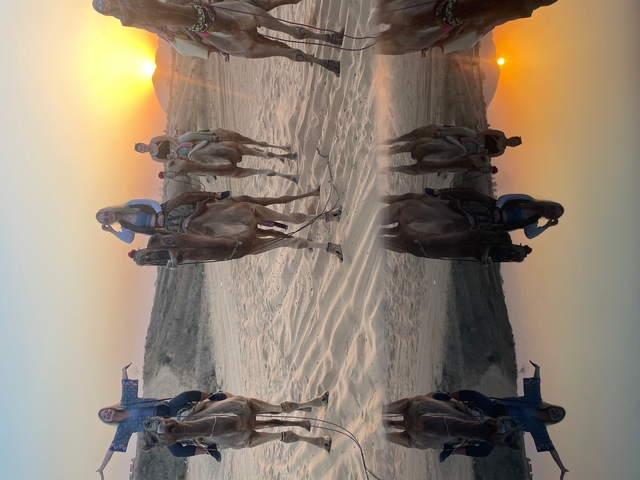       People riding camels on a desert track with sunset.
  