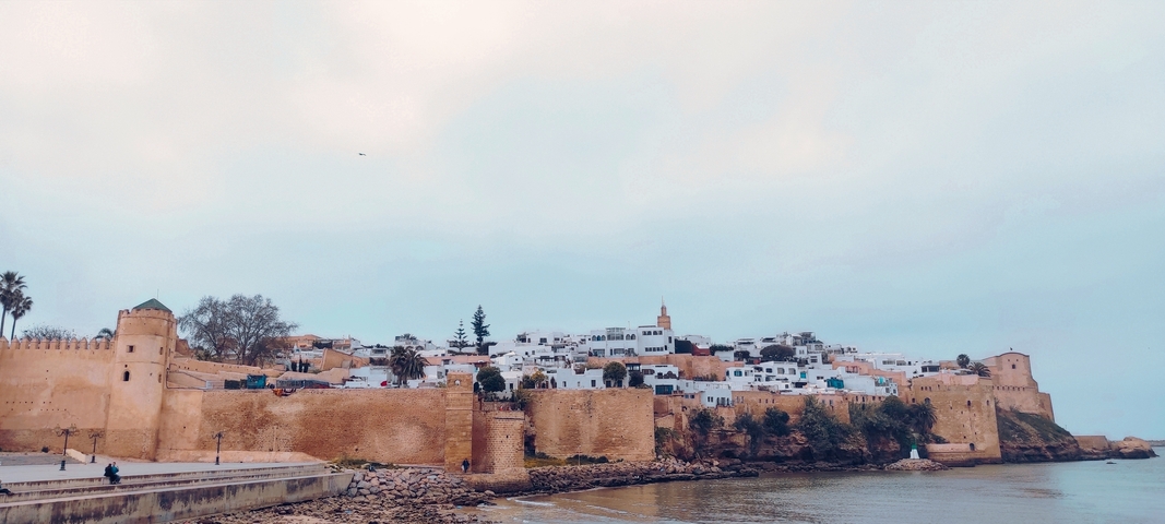 Historic cityscape by the sea with stone walls.