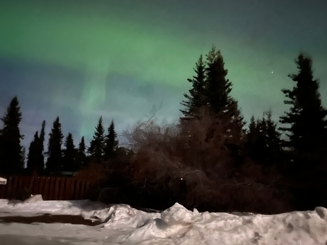 Snowy landscape with trees silhouetted against sky with northern lights.