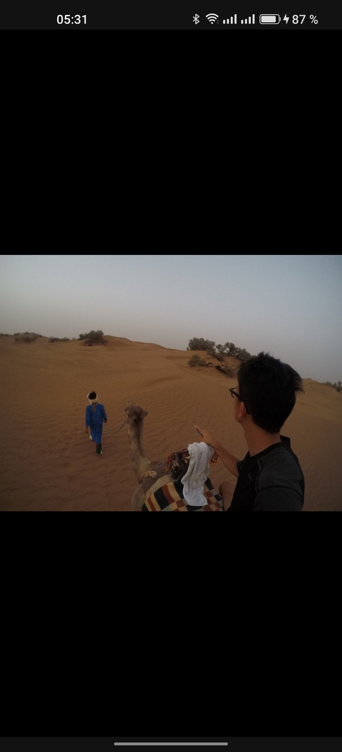 Person leading a camel in the desert.