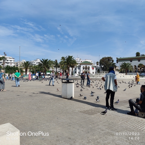 Crowded square with people and pigeons.