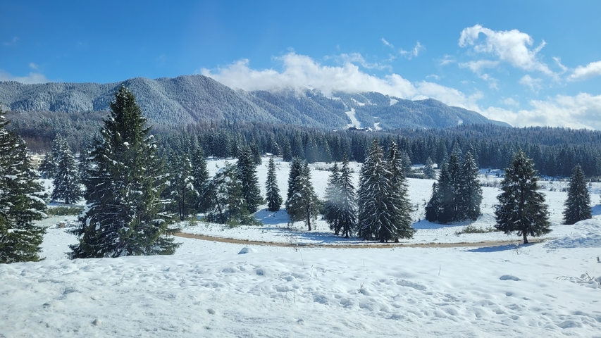 Snow-covered landscape with mountains and evergreen trees under a blue sky.