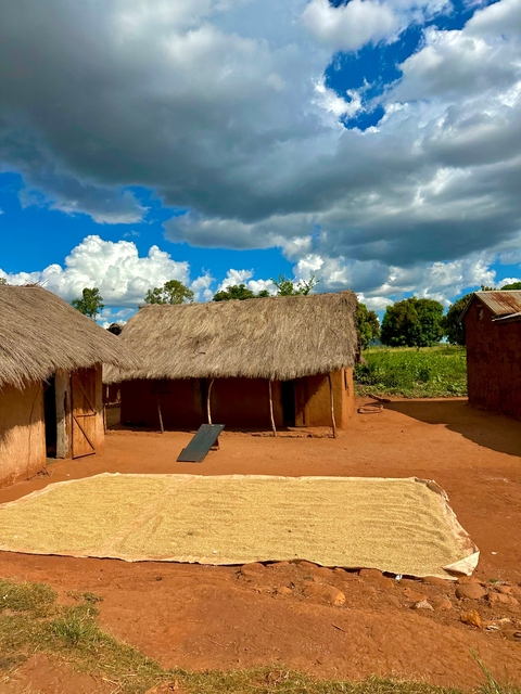       Traditional thatched-roof houses with a cloudy sky
  