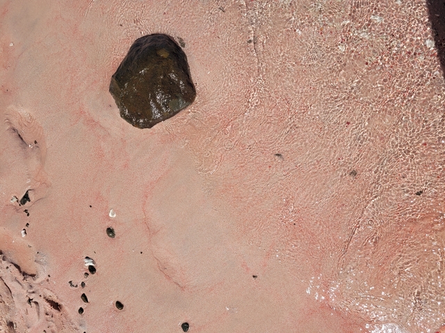       Pink sand with shells and pebbles
  