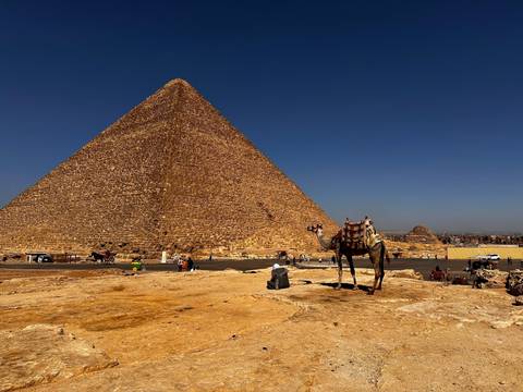 Great Pyramid of Giza with camel in the foreground on a clear day.