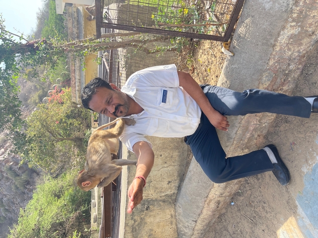 Person with a monkey on their shoulder in a park.