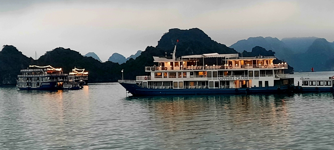       Cruise ships on the water with mountains in the background.
  