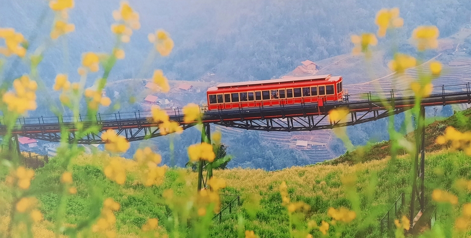      Cute red train on a bridge with yellow flowers in the foreground.
  