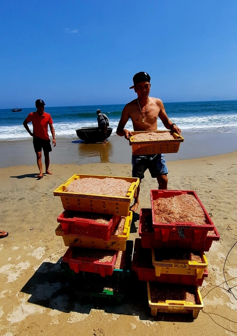       People carrying crates on the beach in front of the ocean.
  