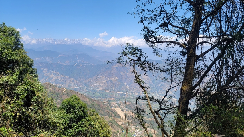 Mountainous landscape with trees in the foreground.