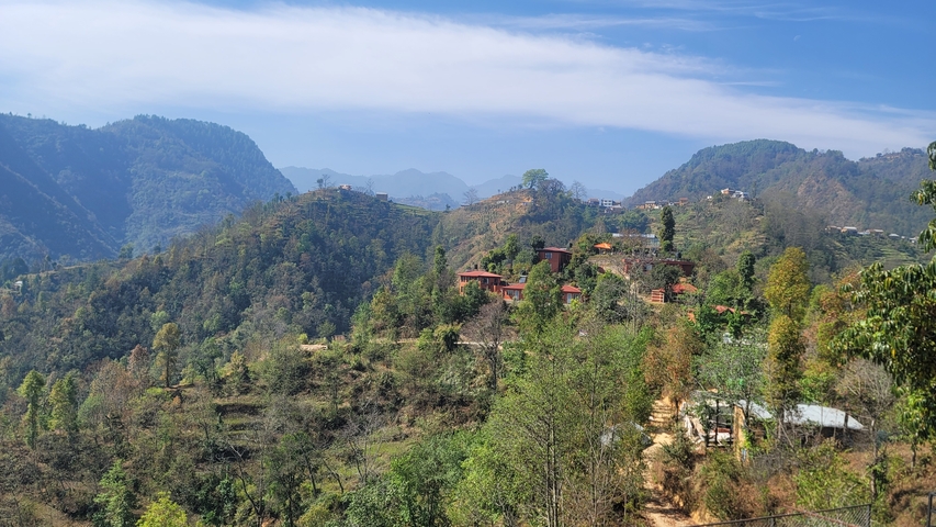 Terraced hills with scattered buildings.