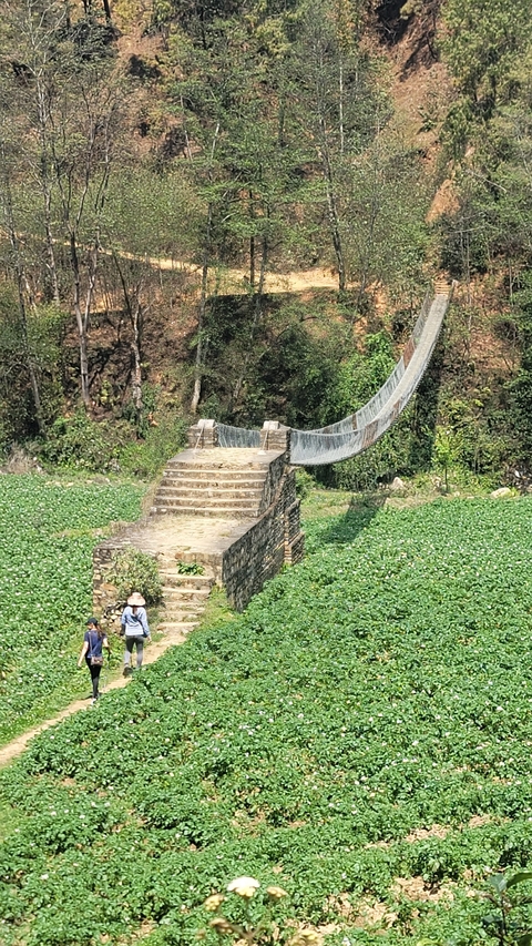       Suspension bridge over a lush green area.
  