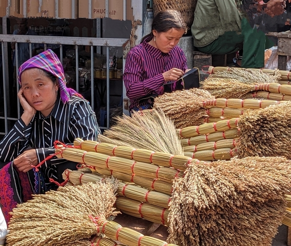       Market scene with a woman in traditional attire selling straw brooms.
  