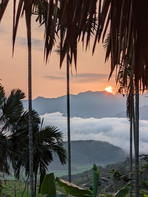       Beautiful sunset view over misty mountains with palm silhouettes.
  