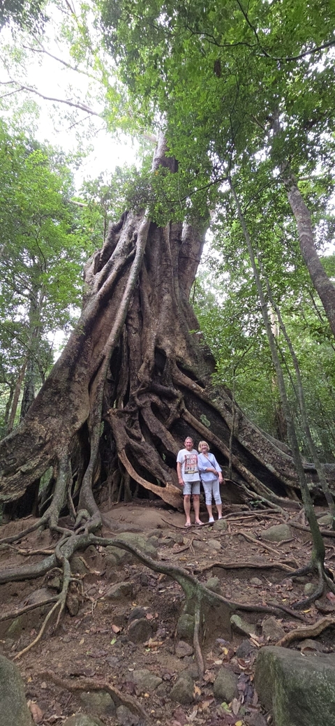       Photo d'avis client sur Sri Lanka : un voyage inoubliable 
  