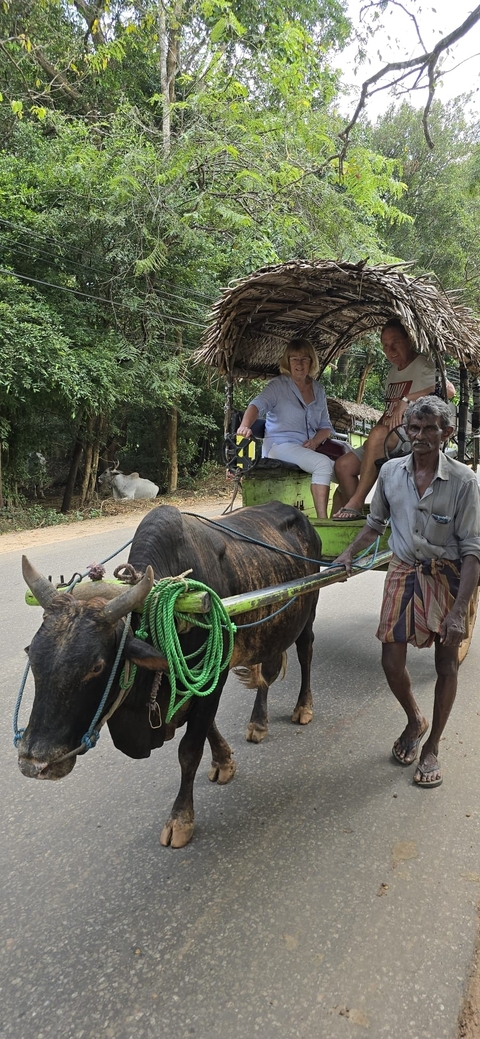       Photo d'avis client sur Sri Lanka : un voyage inoubliable 
  
