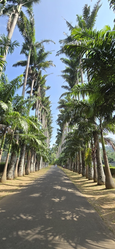 Klantbeoordelingsfoto van Sri Lanka onvergetelijke reis 