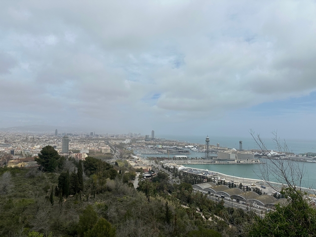 Overlooking a coastal city with a harbor.