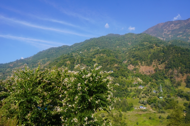 Green hillside landscape with cloudy sky