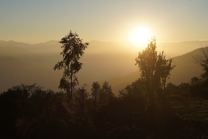 Sunset over mountains with silhouettes of trees