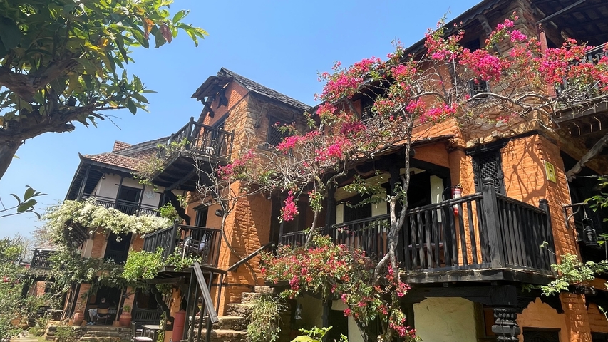 Colorful colonial-style houses with blooming flowers.