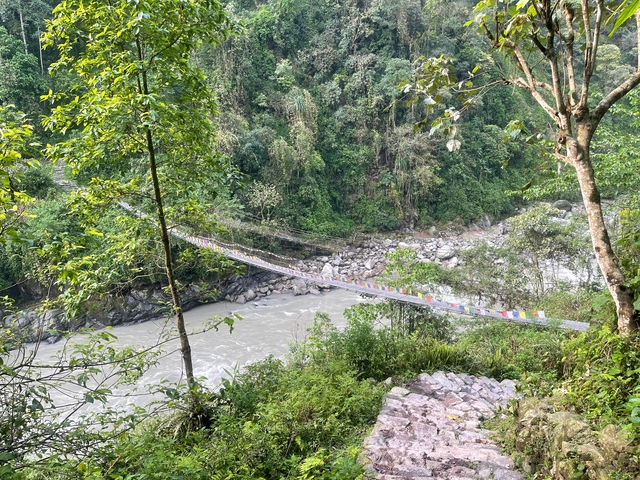       Suspension bridge over a river
  