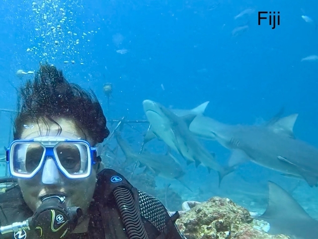 Diver taking a selfie underwater near sharks.