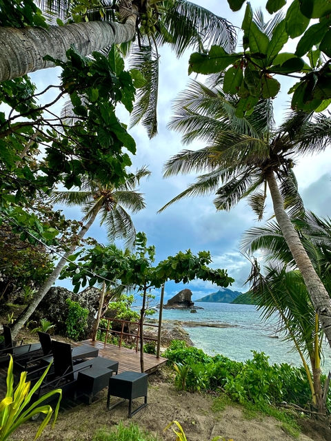 View of tropical plants and ocean with mountains in the distance.