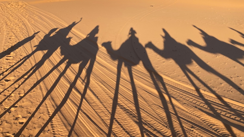       Shadows of camels and riders on desert sand.
  