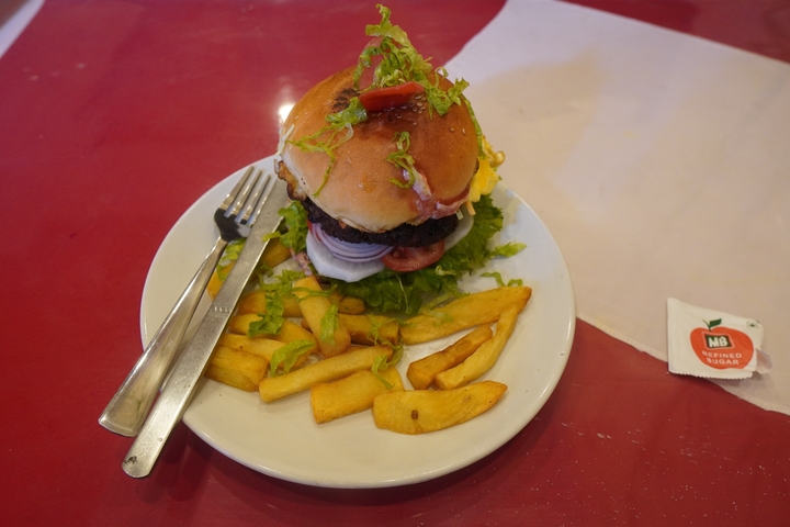       Close-up of a hamburger with fries on a plate.
  