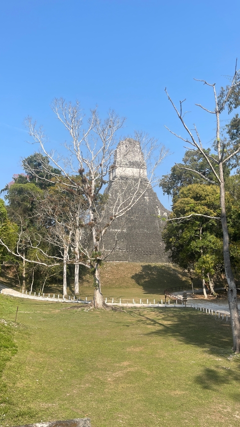 Ancient temple structure surrounded by trees.