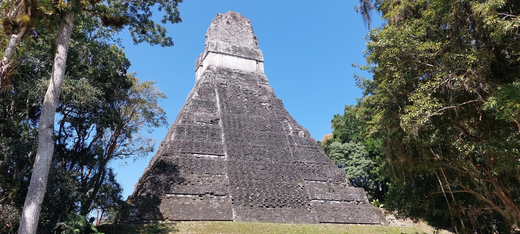       Tall ancient stone temple surrounded by trees.
  